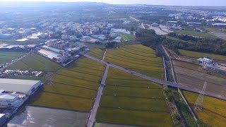 飛虎空中攝影►1050305福爾摩沙實錄 - 台中 2016 大雅小麥文化節 麥香嬉遊祭 張家古厝 謙興堂 空拍 空中攝影 4K