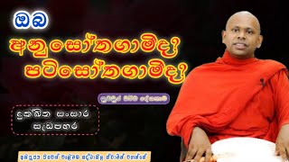 ඔබ අනුසෝතගාමීද? පටිසෝතගාමීද? | දුක්ඛිත සංසාර සැඩපහර | Saddaseela thero| @දහම්අමෘතය-DhahamAmurthaya