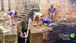 Re-engineering the Palisades Fish Ladder