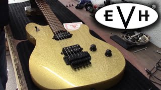 EVH Wolfgang Standard Restring!