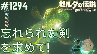 【#1294】どこ!?八人目の英雄像の剣![ゼルダの伝説 ブレス オブ ザ ワイルド]