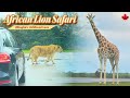 A DAY in the Wild | African Lion Safari in Canada | #englishvlog  #canadatravelvlog  #lifeincanada