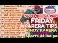 KARERA TIPS FRIDAY - NOVEMBER 08, 2024 / RACING @METROTURF / Karera Gabay Giya Tips at Analysis