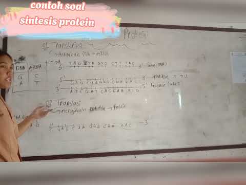 Praktikum Sintesis Protein "soal"| Melvayana Butarbutar - YouTube