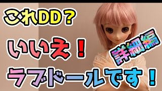 【ドール詳細調査】これドルフィードリームですか？いいえ、シリコンドールです。細部を調査していきます！【Sixhouse MiniDoll アニメドール】