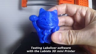 LABISTS 3D Mini Printer Using Labslicer Software Review