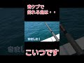 青ケブで釣れる魚はコレです！ 釣り 北九州釣り