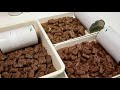 Amazing Food Processing Technology   Pet Food Production