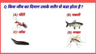 किस जीव 🕷️का दिमाग🧠 उसके शरीर 🦂से बड़ा होता है ❓