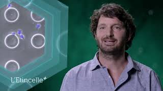 Les étincelles, la biologie cellulaire, Mathieu Piel