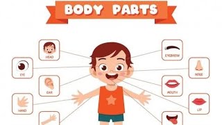 parts of body for kids | parts of body name | body parts name | human body parts | toddler learning