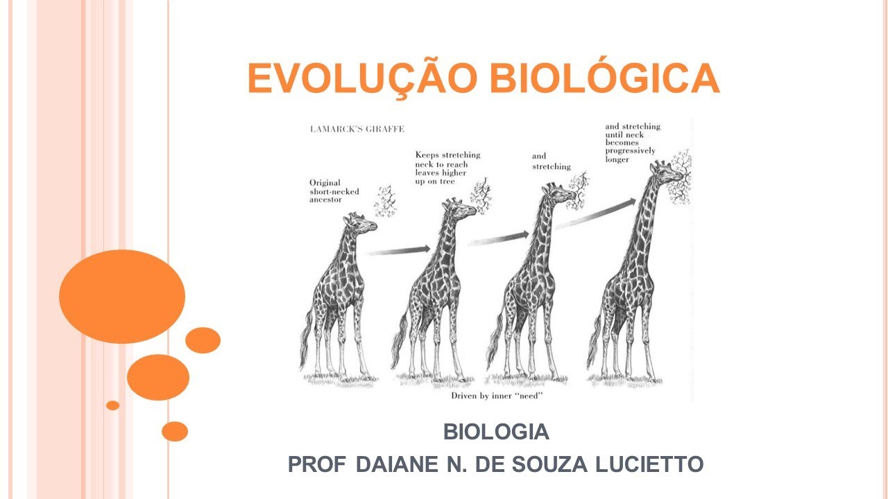 Introdução à Evolução Biológica - YouTube