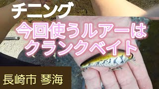 【夏のルアー釣り】②クランクベイトでチヌやシーバスを狙う！チニング！長崎市琴海  ／22ステラ／ストイストRT