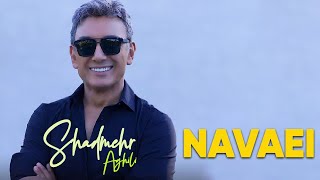 Shadmehr Aghili - Navaei (شادمهر عقیلی - نوایی)