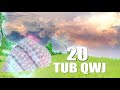 20 tub qwj ntu 20 tua tsov 08 12 2020