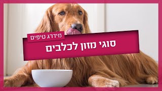 איך נדע מה מותר לכלב לאכול?