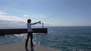 【かねこソロ】夕飯釣りにいったら豪華な刺身盛りできた