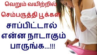 வெறும் வயிற்றில் செம்பருத்தி பூக்கள் சாப்பிட்டால் என்ன நாடாகும் பாருங்க