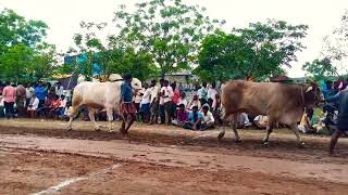 *🌾6 కె.నారేష్ గార్లదిన్నె అనంతపురం జిల్లా..*🌾