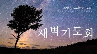 [소망을노래하는교회] 2023.02.13(월) 새벽기도회 / 사무엘상1:9-18 / 고통이 기도를, 기도가 회복을