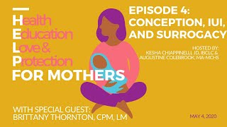 Conception, IUI, and Surrogate Pregnancy: HELP for Mothers Podcast, Episode 4