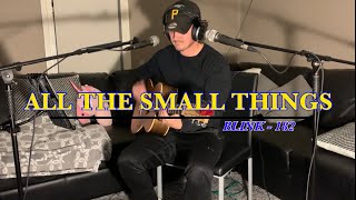 Blink 182 - All the Small Things (Live Loop Cover)