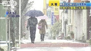 東京に13年ぶり大雪警報　暴風など今後も警戒を(14/02/08)