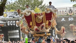 令和6年 2024年 宮入3番 中百舌鳥町ふとん太鼓 百舌鳥八幡宮 月見祭