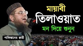 পাকিস্তানের প্রধান ক্বারীর মায়াবী কন্ঠে তেলাওয়াত।🎙️ক্বারী আনোয়ারুল হাসান শাহ্ বোখারী🇵🇰