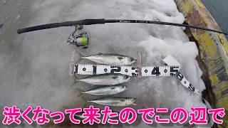 冬の青森　フェリー埠頭　青物が釣れている！？