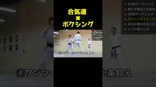 【見たことある？】ボクシングスタイルの合気道技を9つ紹介！#shorts #合気道 #aikido #martialarts #martialart