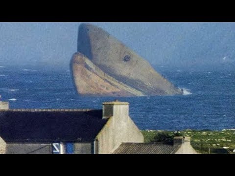 megalodon shark - FunClipTV