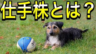 仕手株とは何か？わかりやすく解説