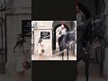 🔥Massive Shout Scared Her to the Core! You Won't Believe Her Reaction! Epic Moments Horse Guards🐴