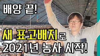 4월 표고농장은? New 표고버섯배지 입상하기