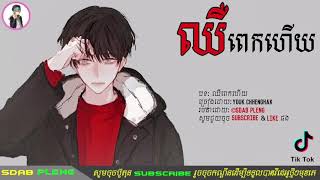 Youk Chhenghak - ឈឺពេកហើយ​ chher pek hoy​ ♪ ♬ [ LYRICS VIDEO ] ♬ ♪