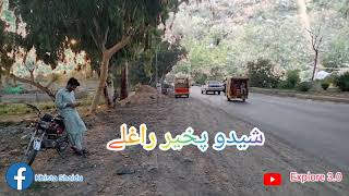 Shaidu on Main GT Road ❤️ | شیدو 🤩مین جی ٹی روڈ |Shaidu to Peshawar🥰