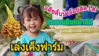 พี่อลิซกะน้องทาวิน | คั้นน้ำอ้อยสด LK