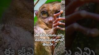 ఎక్కువ కాలం జీవించి ఉన్న జీవి #shorts #trending #viralshorts #facts #india #education #entertainment