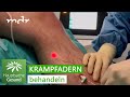 Neue Behandlungsmethoden bei Krampfadern – das ist state of the art | MDR