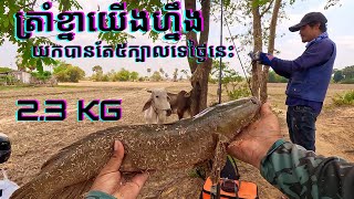 ត្រាំខ្នារ | ថ្ងៃអាទិត្យនេះសំណាងណាស់យកបាន ៥ ក្បាល 19-03-2023