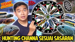 HUNTING CHANNA APAPUN SESUAI SASARAN PANAH! BELI CHANNA RANDOM TERGANTUNG PANAH YANG MENDARAT!