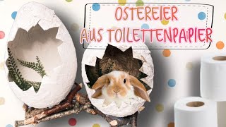 Ostereier 🐣 Toilettenpapier | DIY | Ostern | Basteln | Easteregg | Klopapier | easter