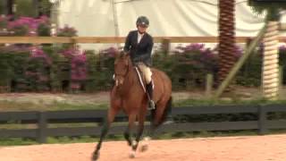 Video of VERTU ridden by ALEXANDRA BIEDERMAN from ShowNet!