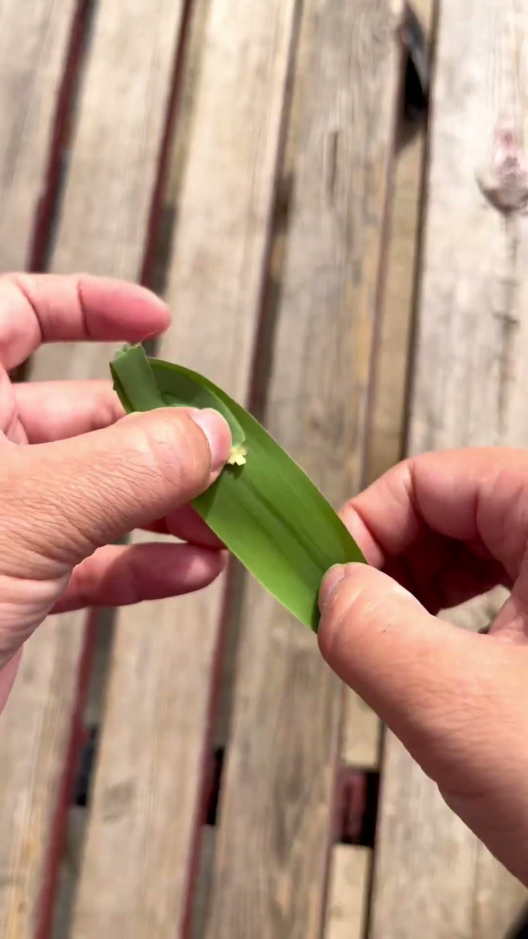 Do you still remember the reed boat when you were a child? Come and try it quickly. Handmade DIY. L