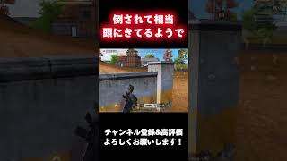 閲覧注意　敵に倒されて頭にきてる野良の暴言がやめられない止まらない　荒野行動