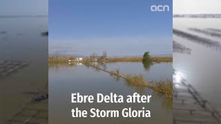 Drone footage of flooding in Ebre delta following Storm Gloria