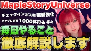 【MapleStory Universe】テスト期間中に毎日やっておいた方がいいこと解説📝【BCG】