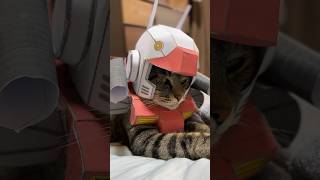 今日はガンキャノンになる猫 #猫のいる生活 #猫の日常 #cat #gundam #なんじ君 #ガンダム #cosplayer