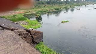 the RIVER SUBARNAREKHA..AT GHATSILA..'2024..MARCH